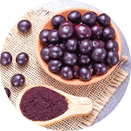 Acai
