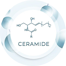 Ceramide