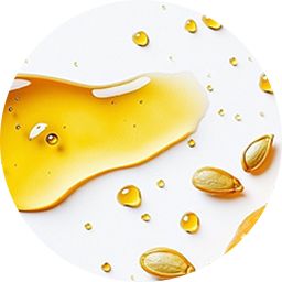 Pumpkin Stem Cell
